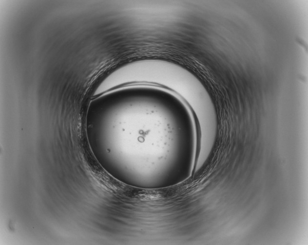 X0000096980552200802221437