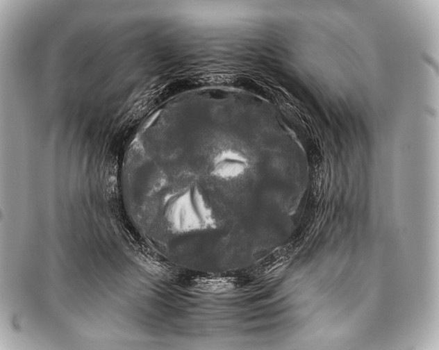 X0000096980553200802221437