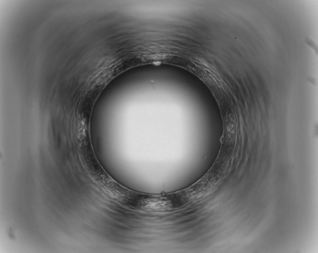 X0000096980555200802221437