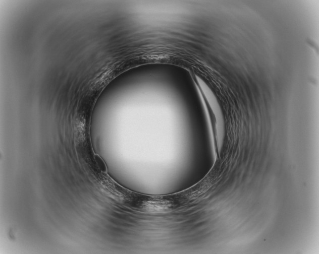 X0000096980556200802221437