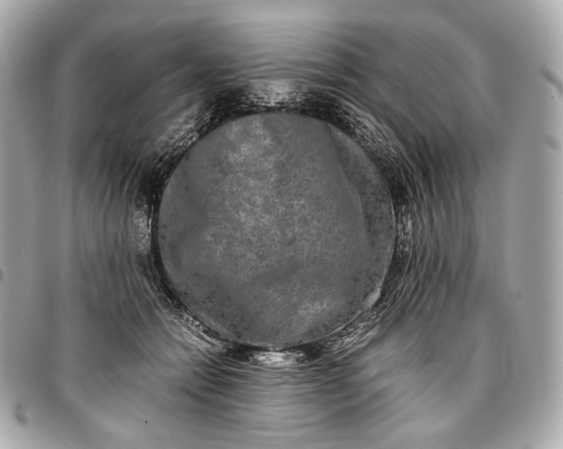 X0000096980558200802221437