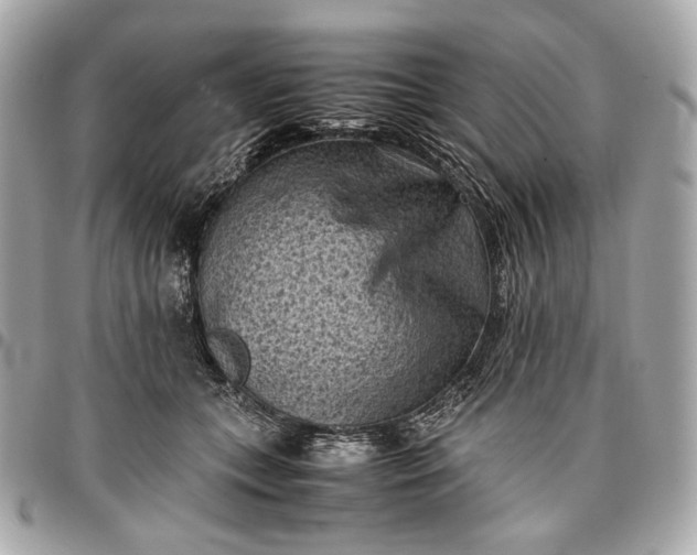 X0000096980559200802221437