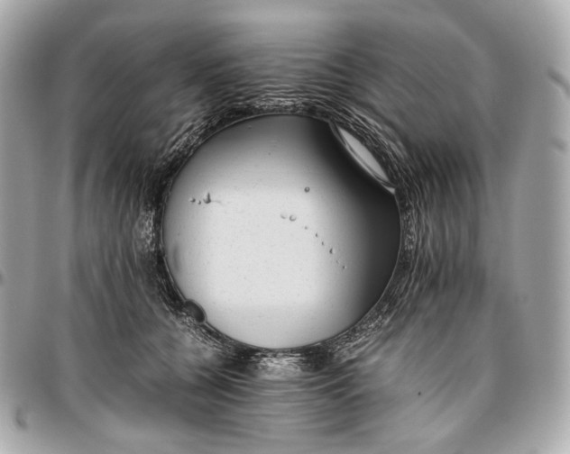 X0000096980560200802221437