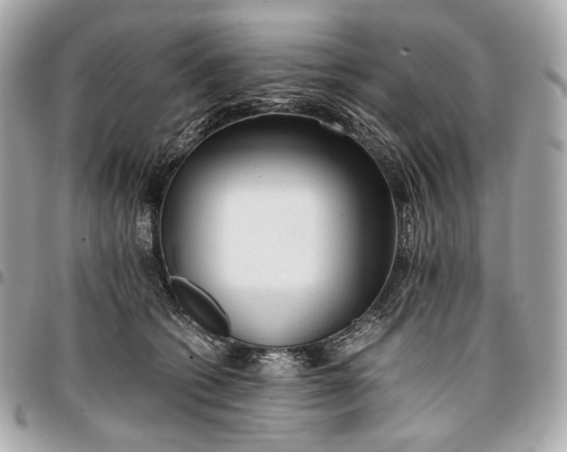 X0000096980562200802221437