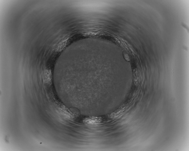 X0000096980563200802221437