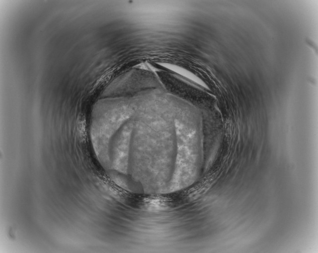 X0000096980564200802221437