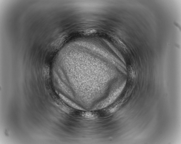 X0000096980565200802221437