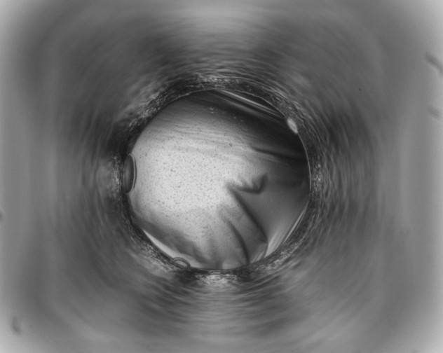 X0000096980566200802221437