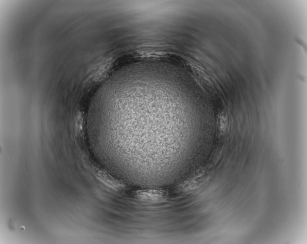 X0000096980567200802221437