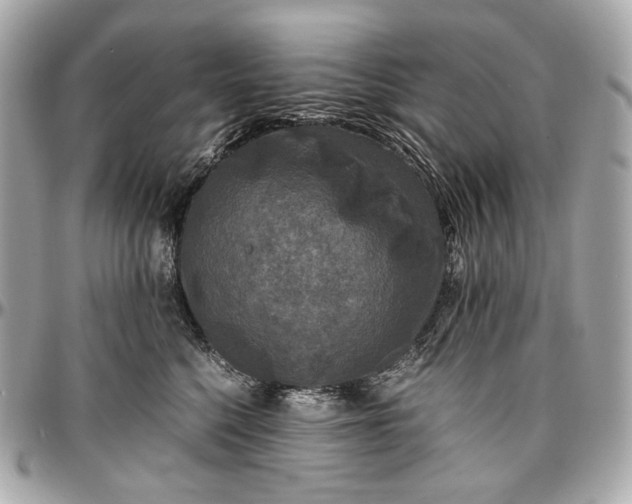 X0000096980568200802221437