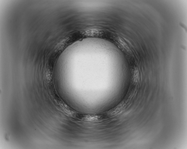 X0000096980569200802221437