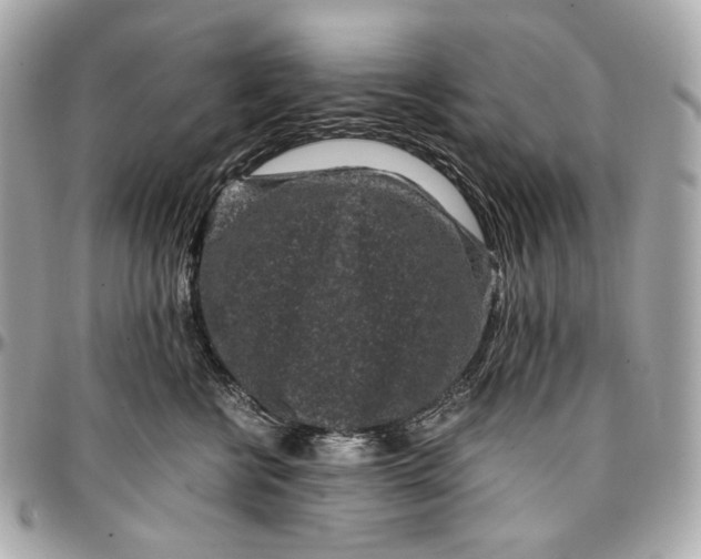 X0000096980570200802221437