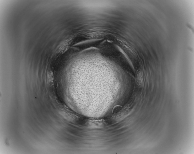 X0000096980571200802221437