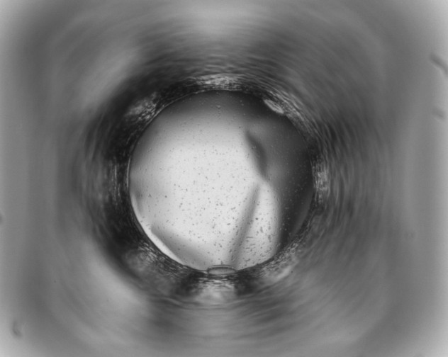 X0000096980572200802221437