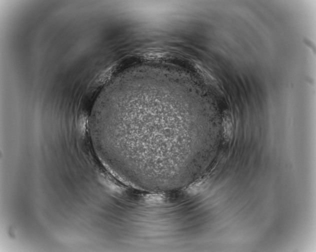 X0000096980574200802221437