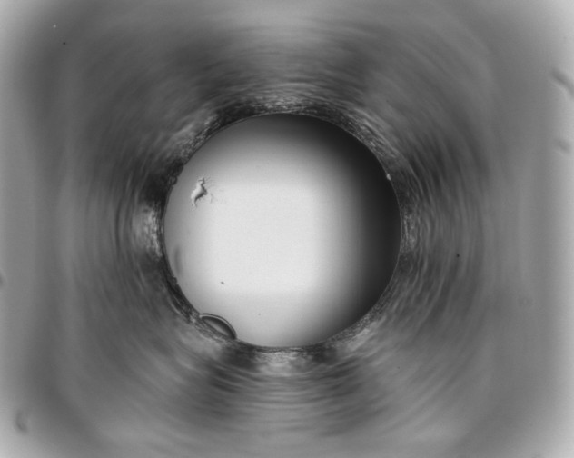 X0000096980575200802221437