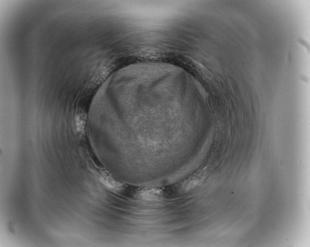 X0000096980576200802221437