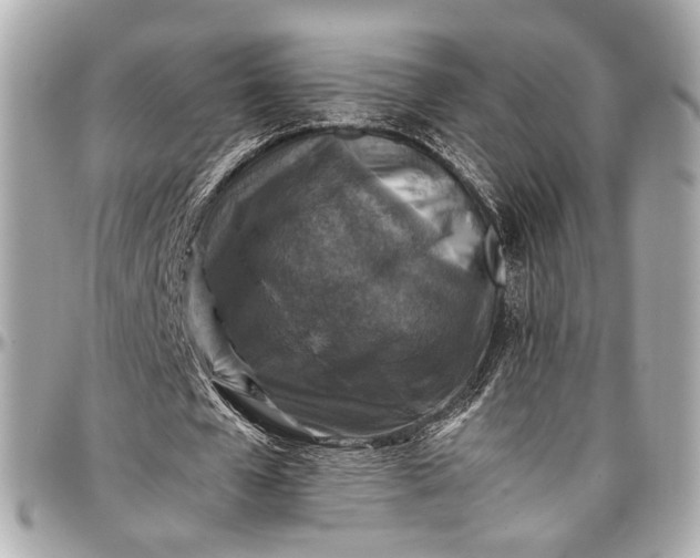 X0000096980577200802221436