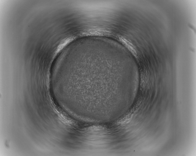 X0000096980578200802221436