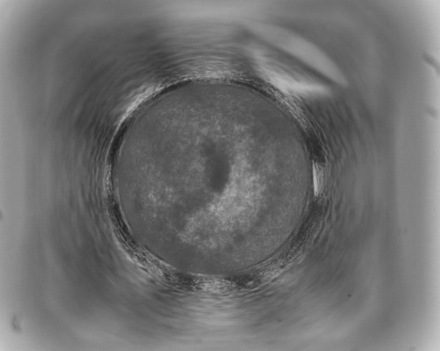 X0000096980579200802221436