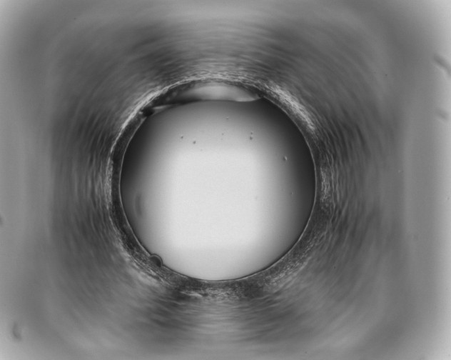 X0000096980580200802221436