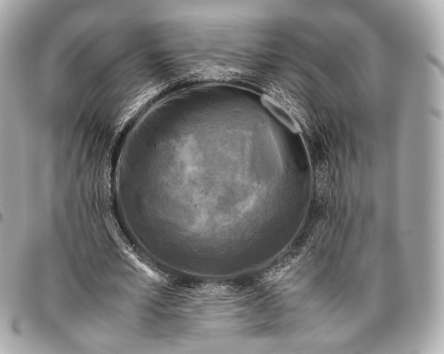 X0000096980581200802221436