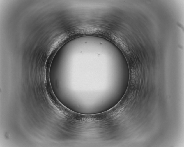 X0000096980582200802221436