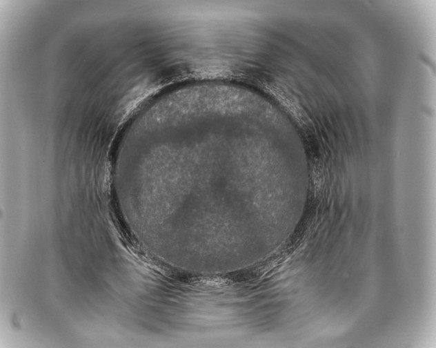 X0000096980583200802221436