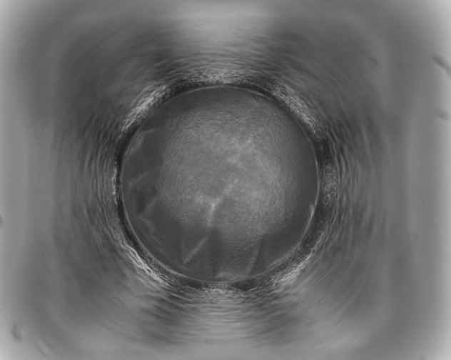 X0000096980585200802221436