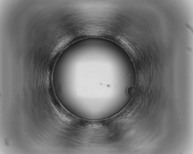 X0000096980586200802221436