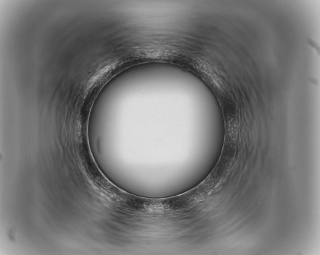 X0000096980587200802221436