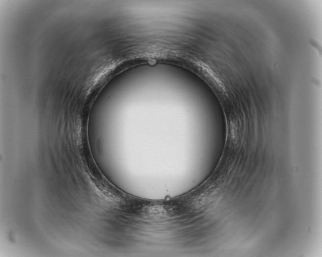 X0000096980588200802221436