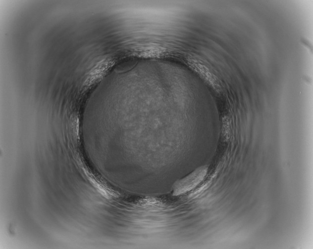 X0000096980589200802221436