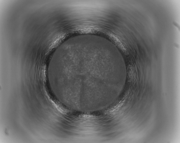 X0000096980590200802221436