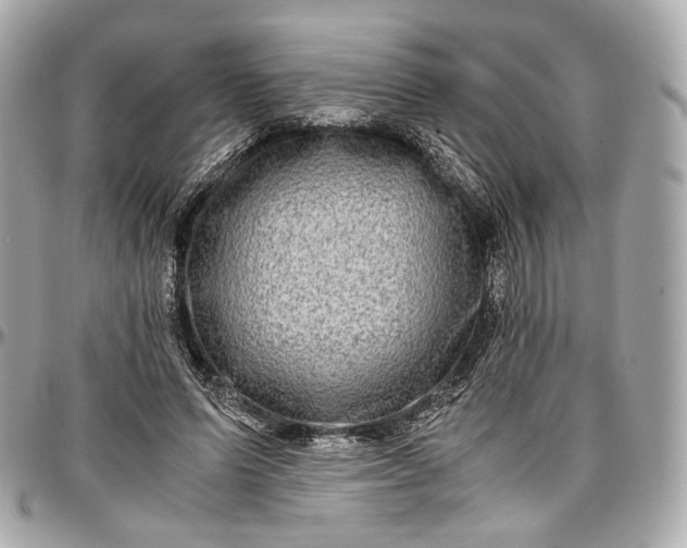 X0000096980591200802221436