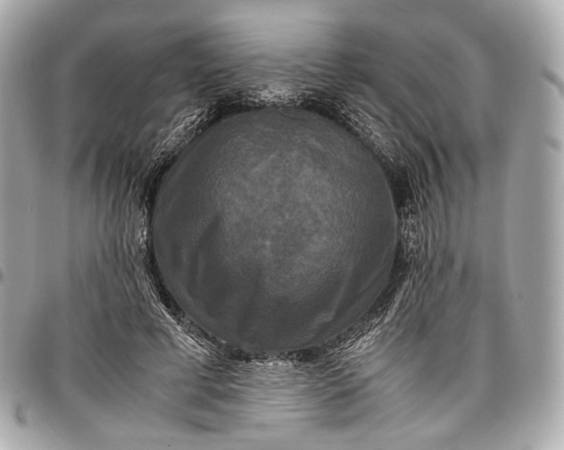 X0000096980593200802221436