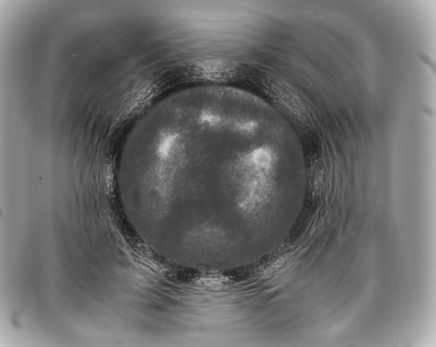 X0000096980595200802221436