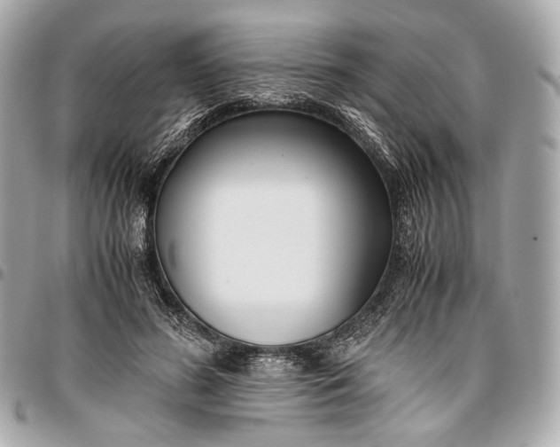 X0000096980596200802221436