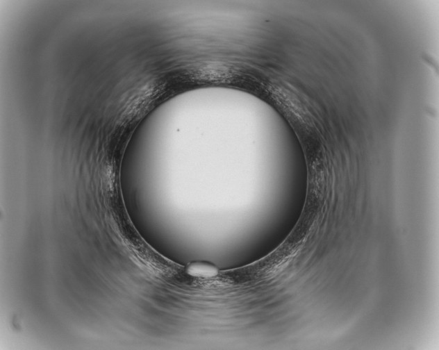 X0000096980597200802221436