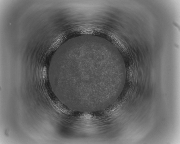 X0000096980598200802221436