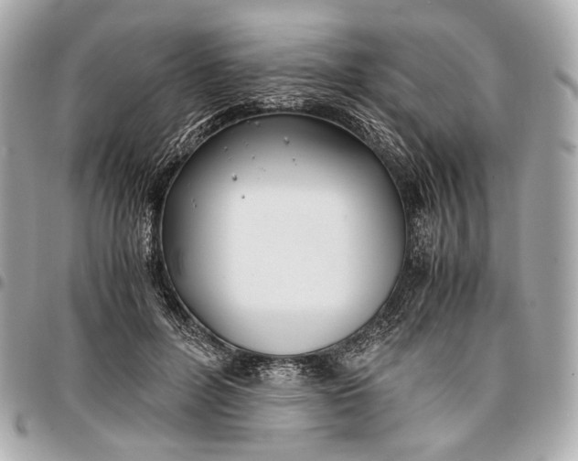 X0000096980600200802221436