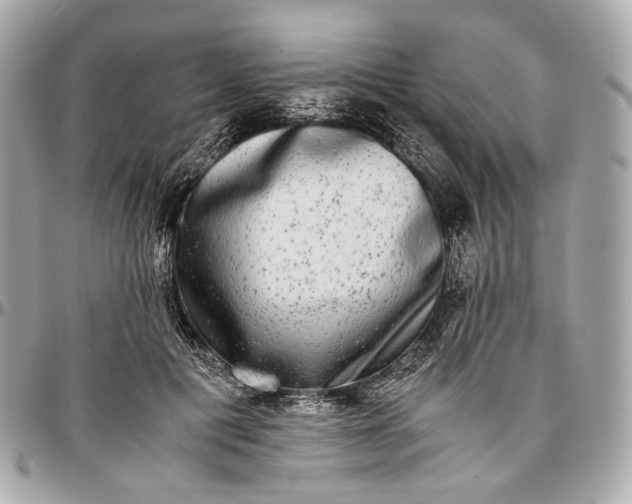 X0000096980601200802221436