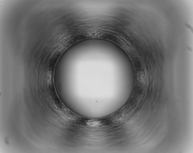 X0000096980602200802221436