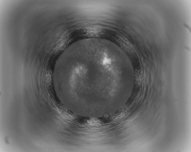 X0000096980603200802221436