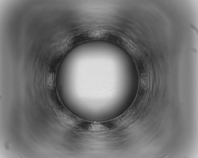 X0000096980605200802221436