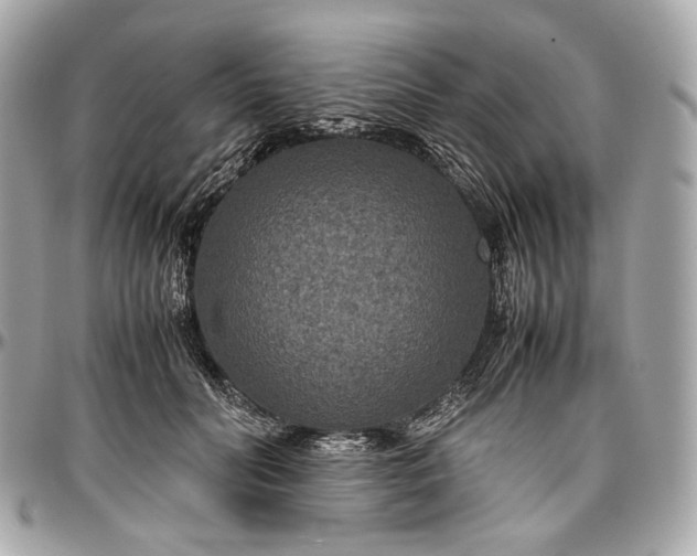 X0000096980606200802221436