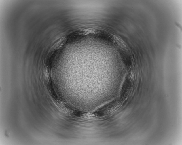 X0000096980607200802221436