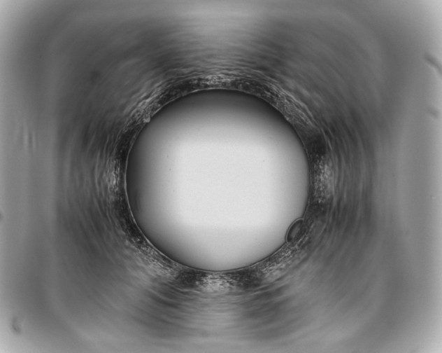 X0000096980608200802221436