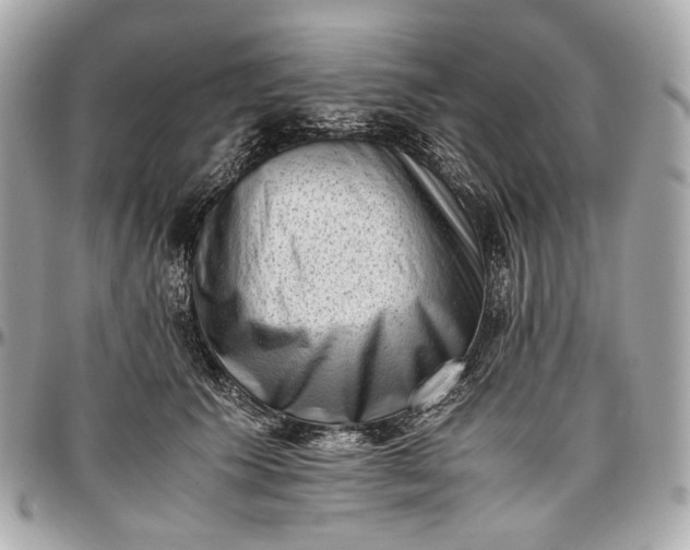 X0000096980609200802221436