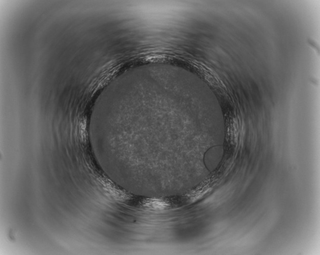 X0000096980610200802221436